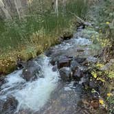 Review photo of Lower Lehman Campground — Great Basin National Park by susan F., October 28, 2026