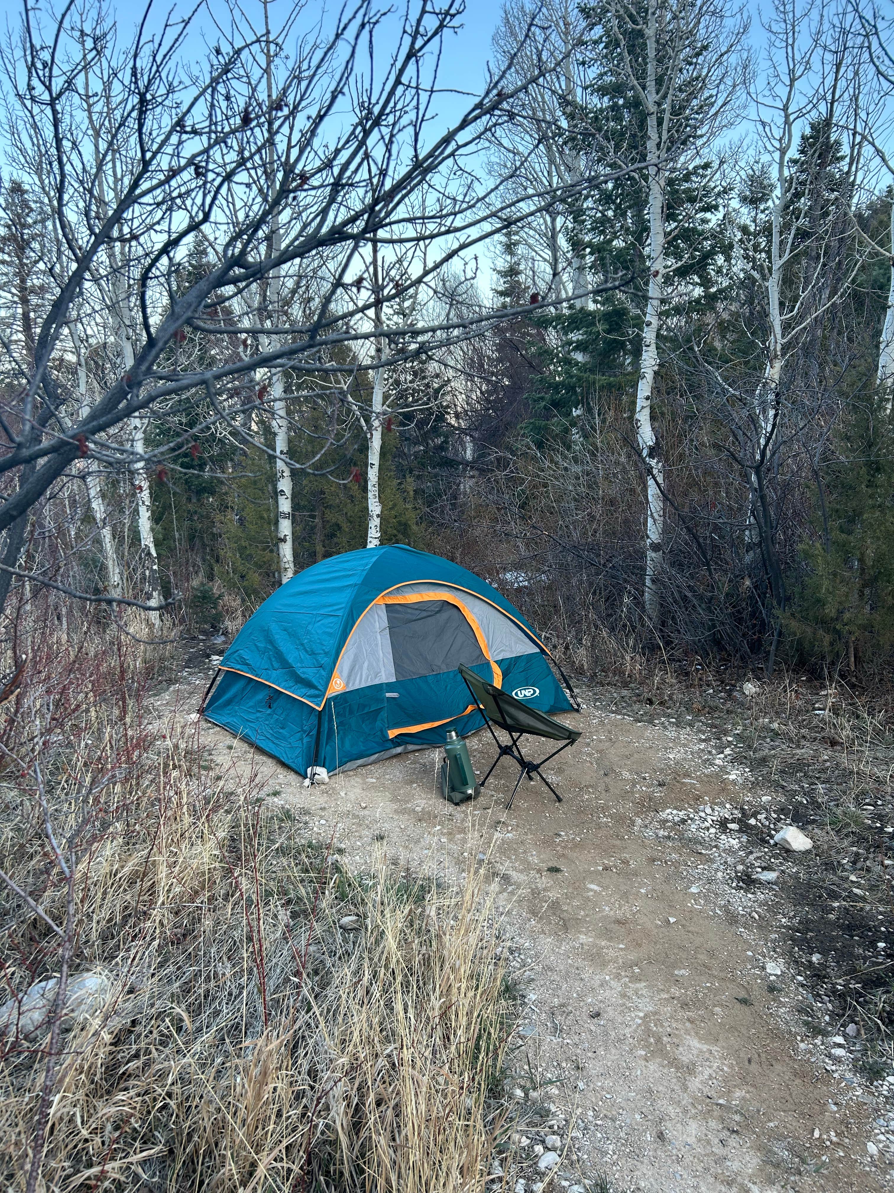 Camper-submitted photo at Lower Lehman Campground — Great Basin National Park near Baker, NV