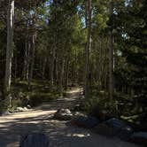Review photo of Lower Lehman Campground — Great Basin National Park by Joel R., July 8, 2026