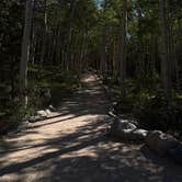 Review photo of Lower Lehman Campground — Great Basin National Park by Joel R., July 8, 2026