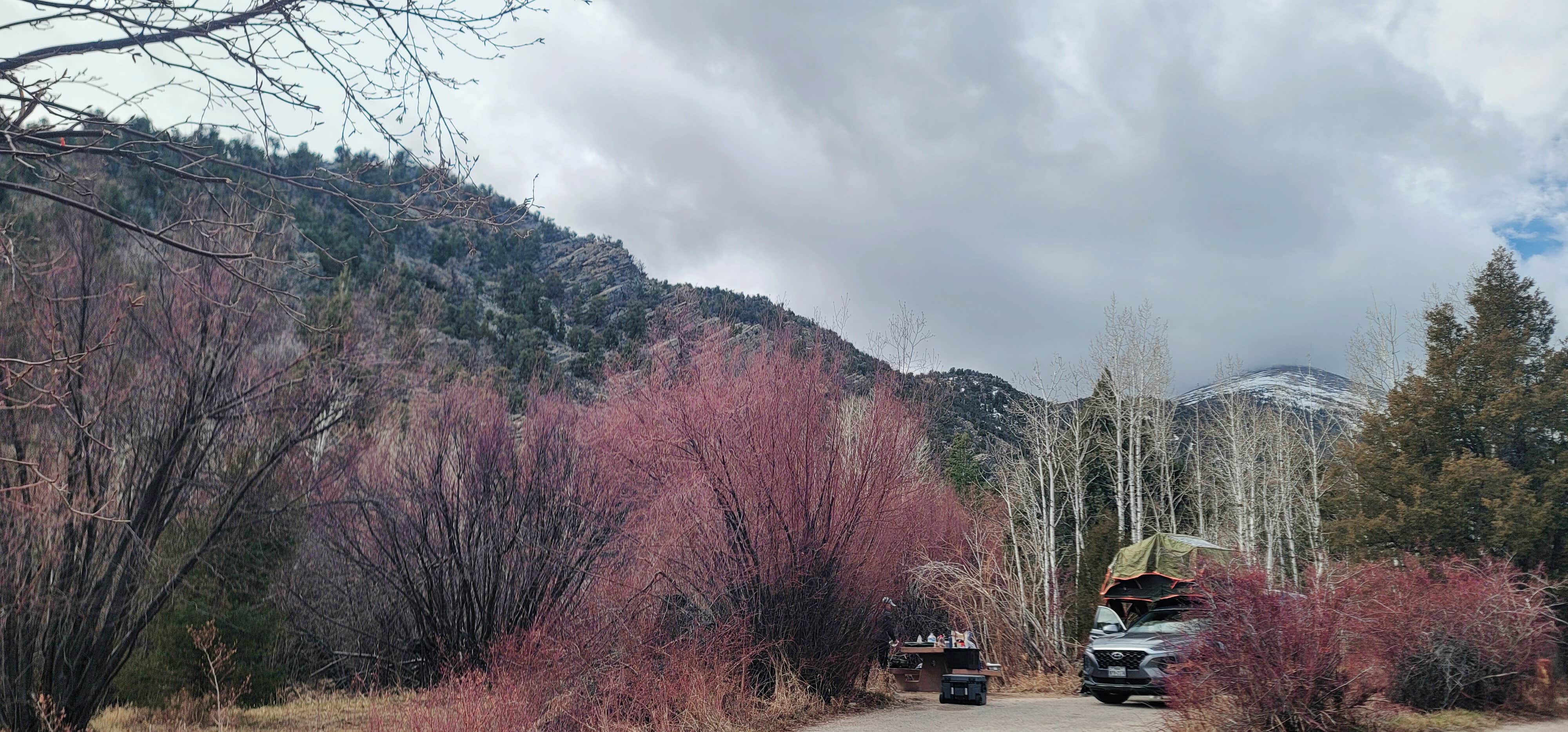 Camper submitted image from Lower Lehman Campground — Great Basin National Park - 3