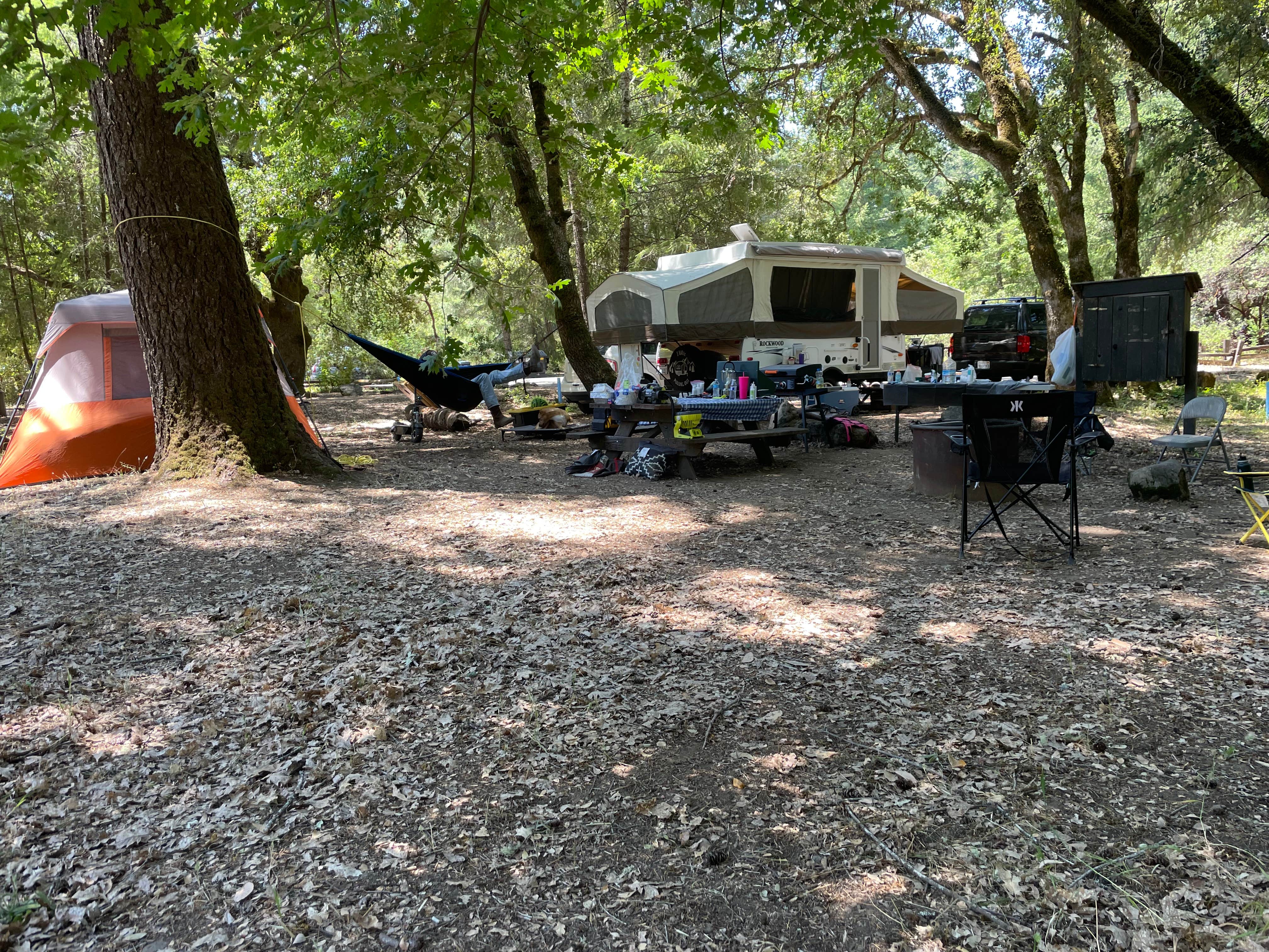 Camping near Dean Creek Resort: Benbow State Recreation Area Campground, Garberville, California
