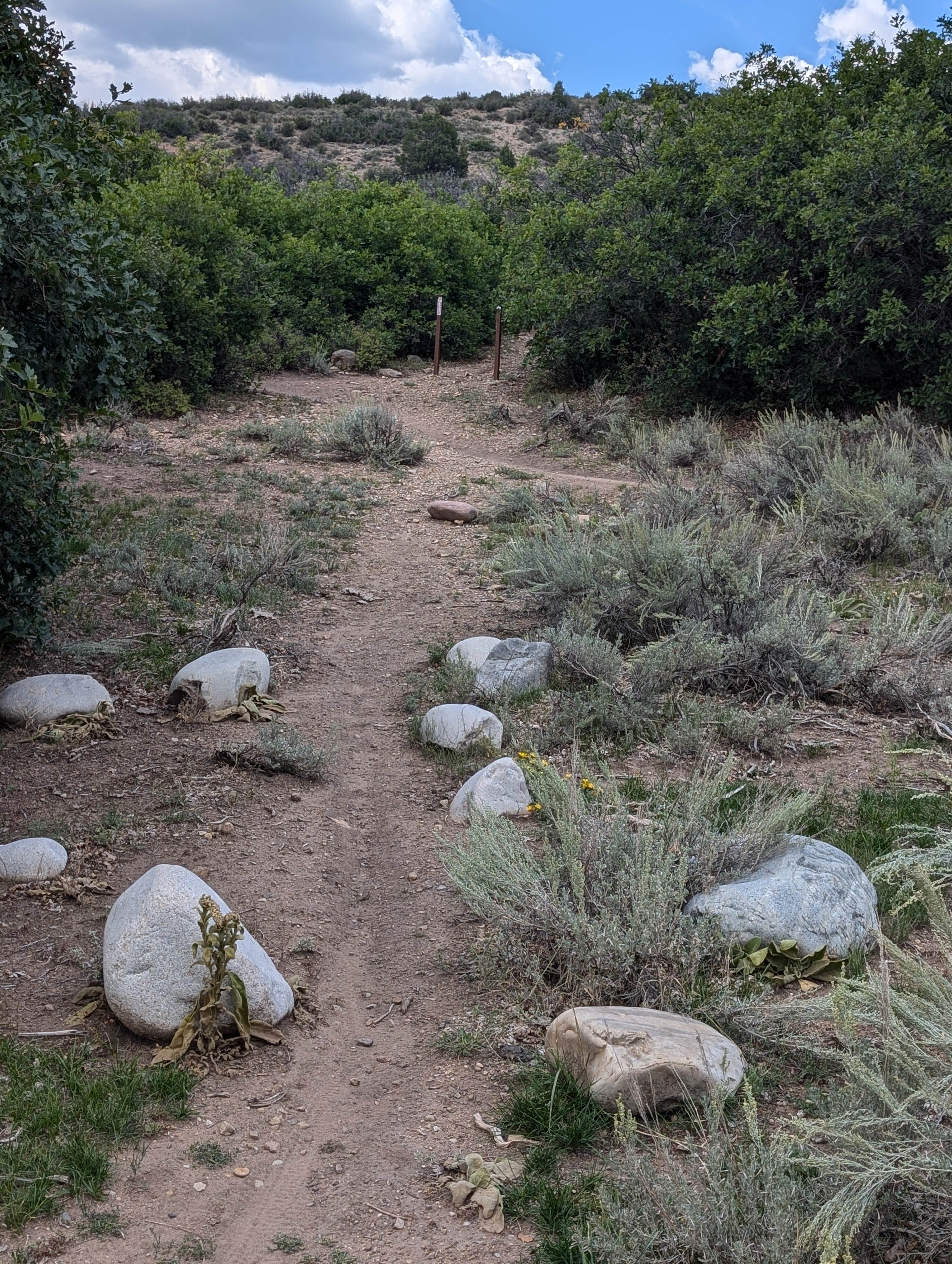 Camper-submitted photo at Lower Prince Creek Campground near Parachute, CO