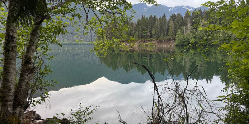 Camper submitted image from Lower Sandy Dispersed Camp