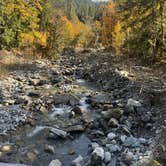 Review photo of Lower Sandy - Winter Only Dispersed by Teresa A., October 10, 2026