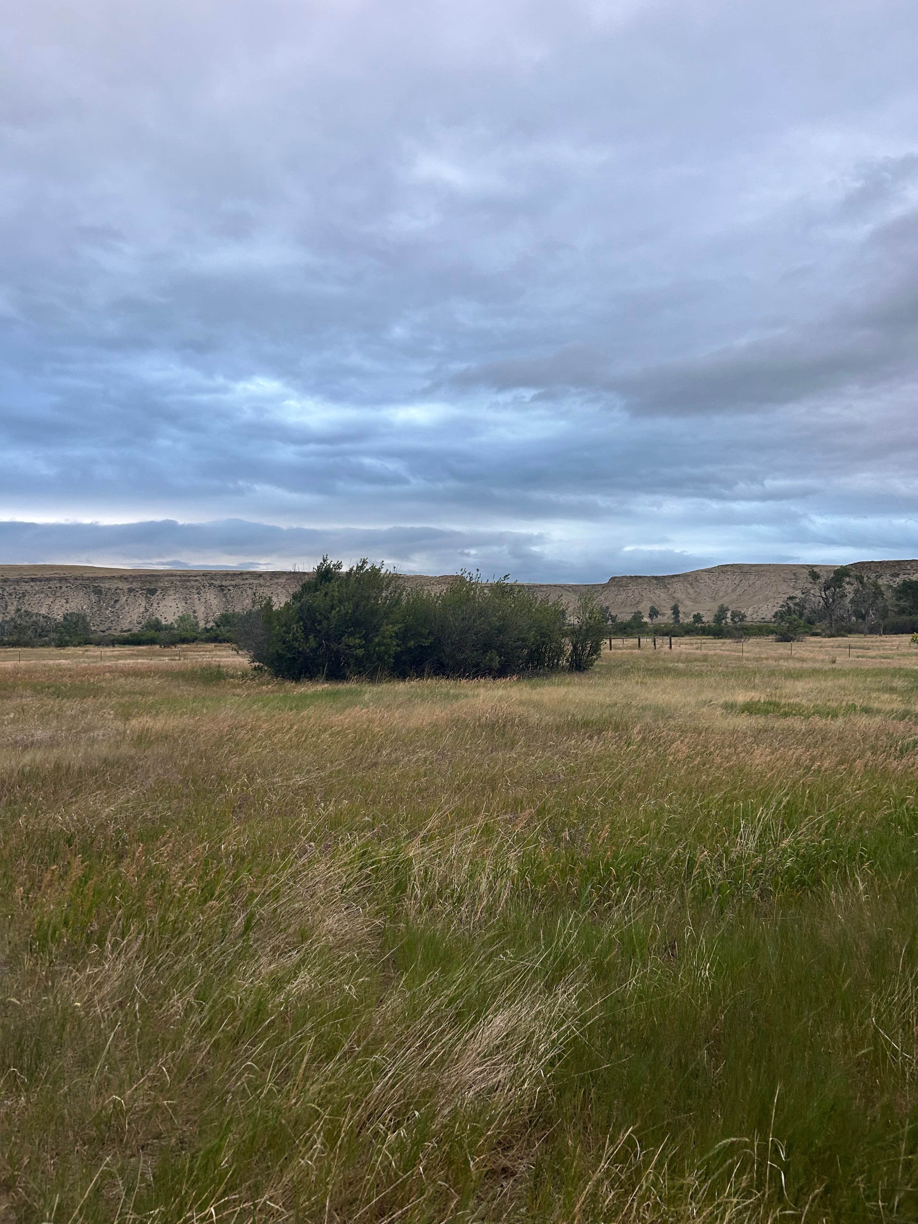 Camper-submitted photo at Lowry Bridge Access Site near Choteau, MT