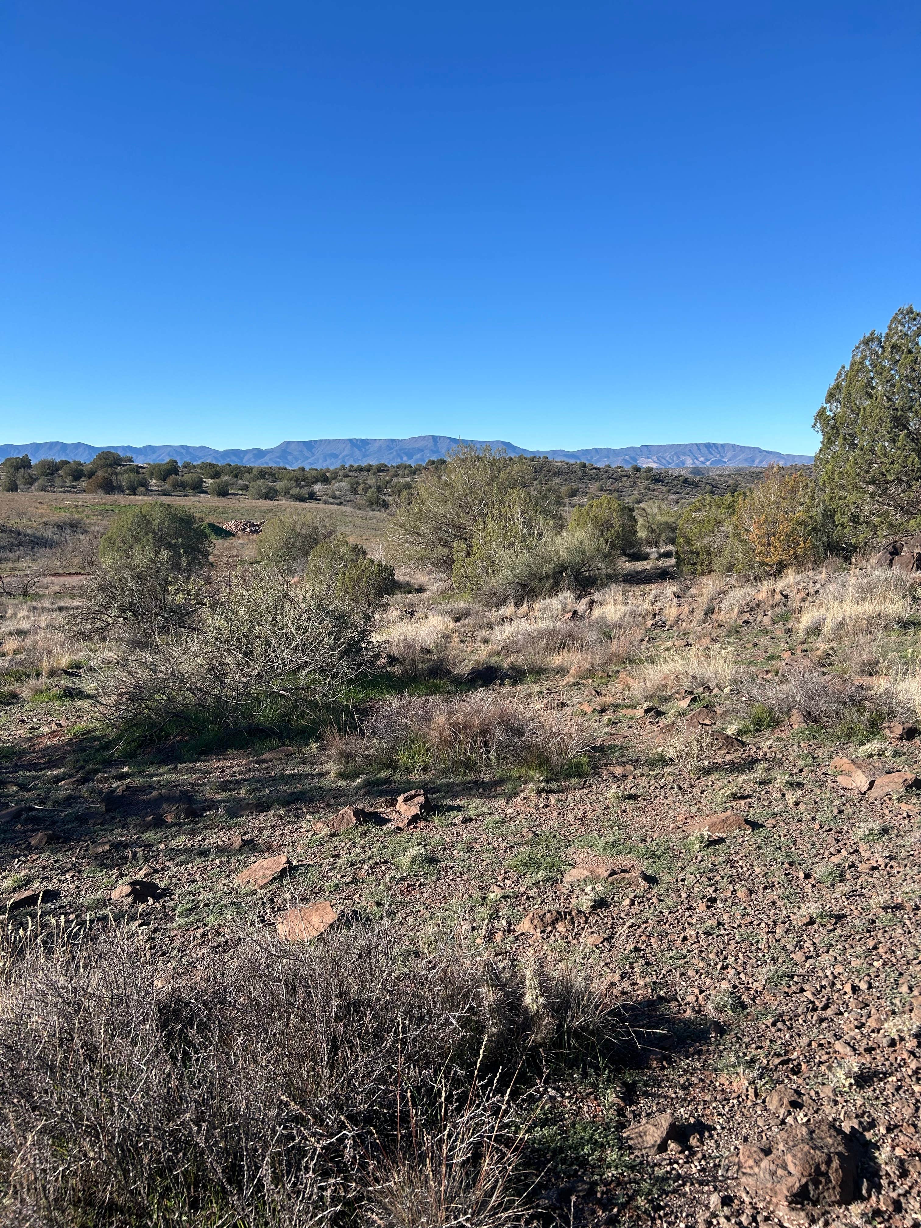 Camper submitted image from Surprise, West Sedona Designated Dispersed Camping - 1