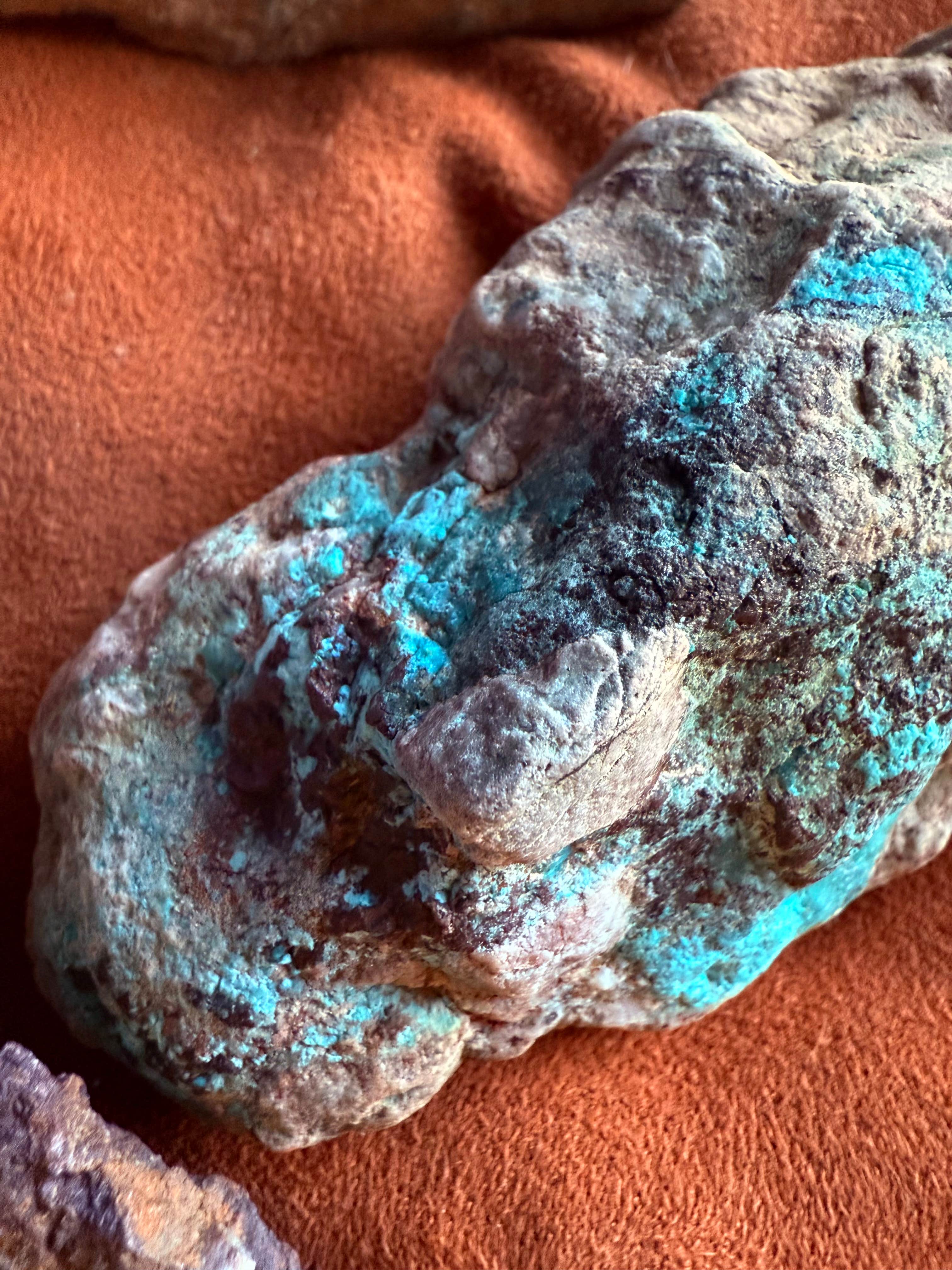 Camper submitted image from LS5 Ranch - 3