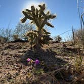 Review photo of LS5 Ranch by Lindsay L., December 26, 2025