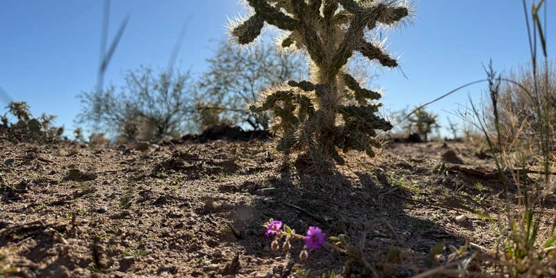 Camper submitted image from LS5 Ranch