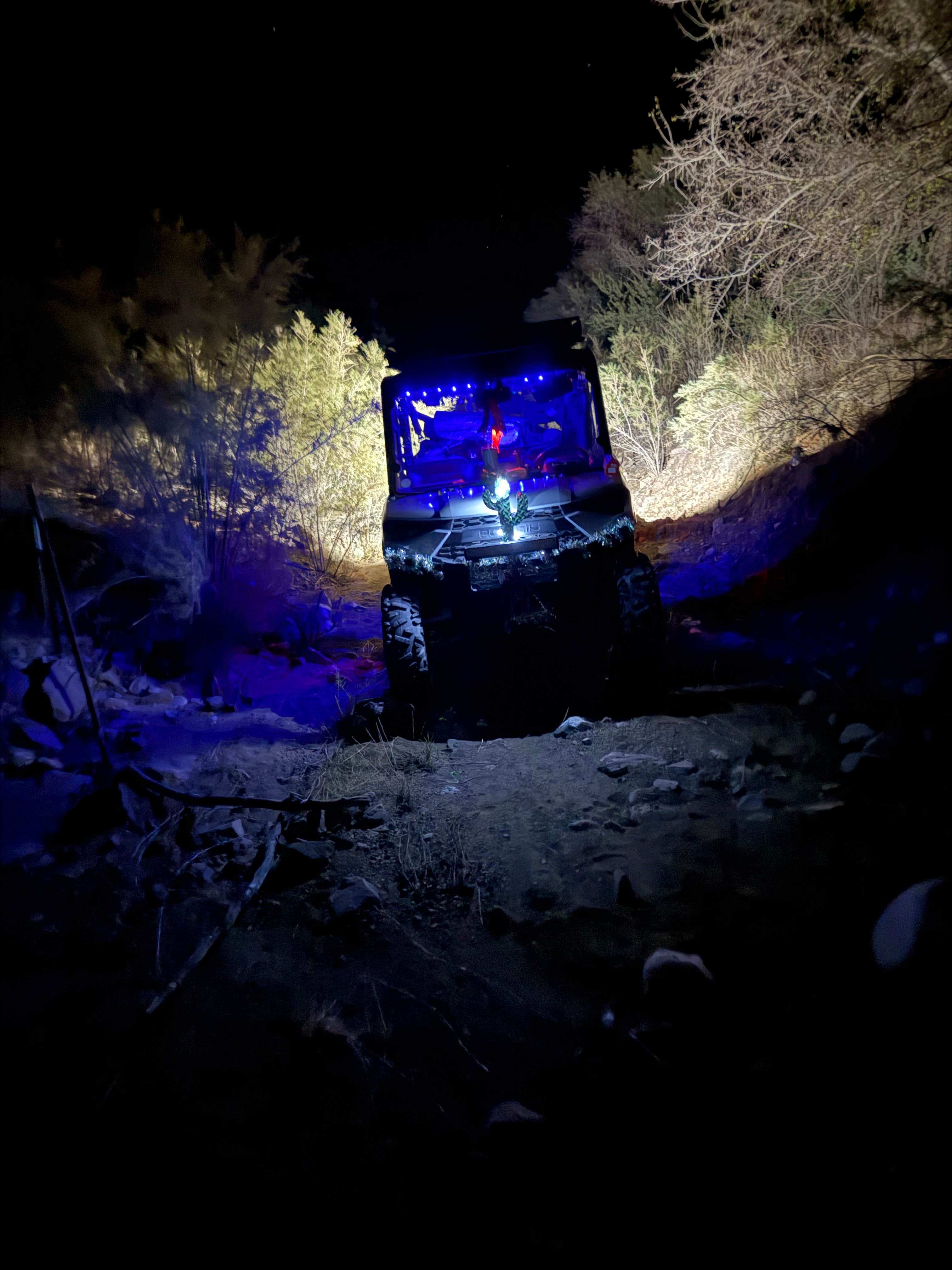 Camper-submitted photo at LS5 Ranch near Tucson, AZ