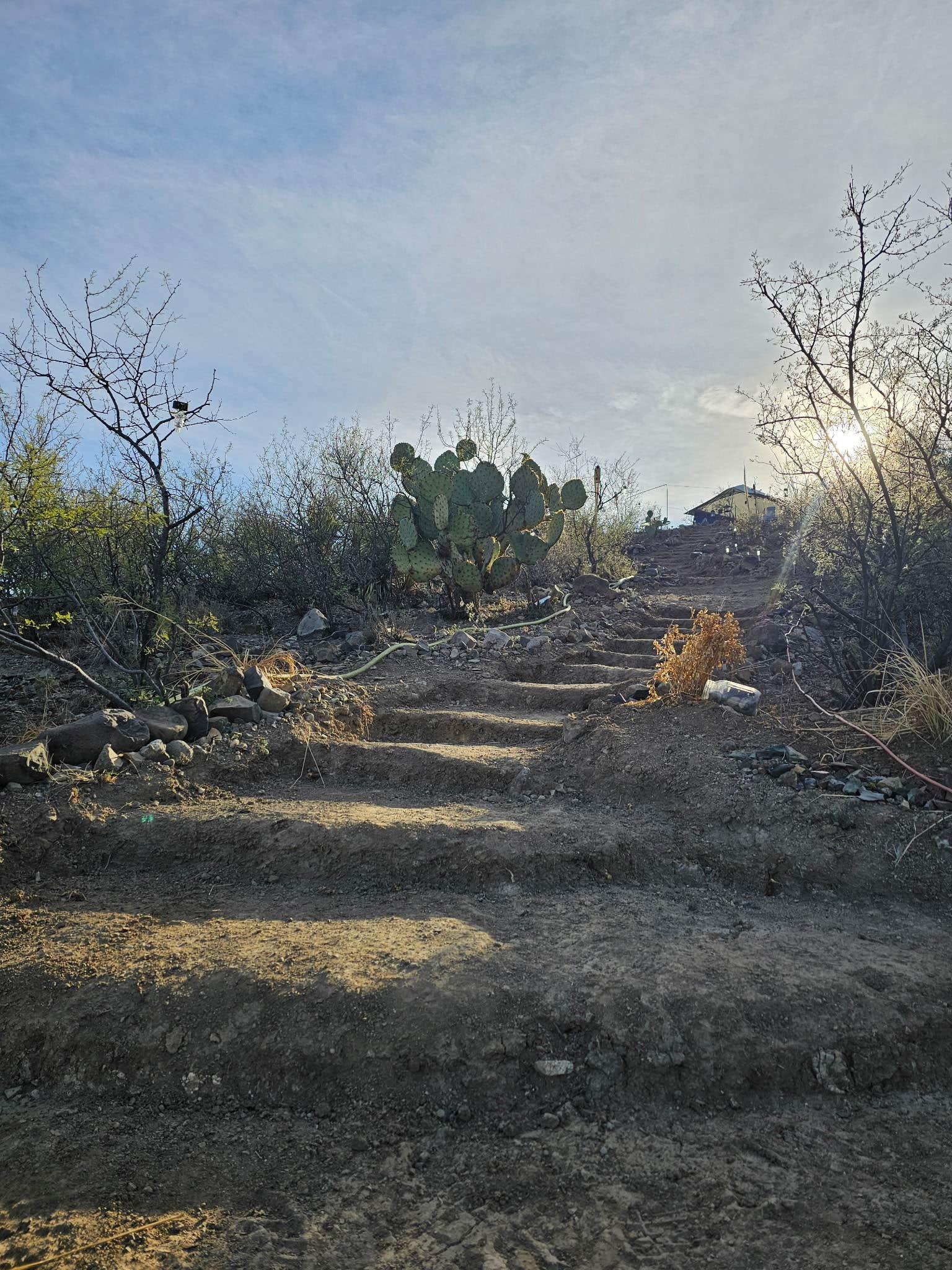 Camper-submitted photo at LS5 Ranch near Tucson, AZ