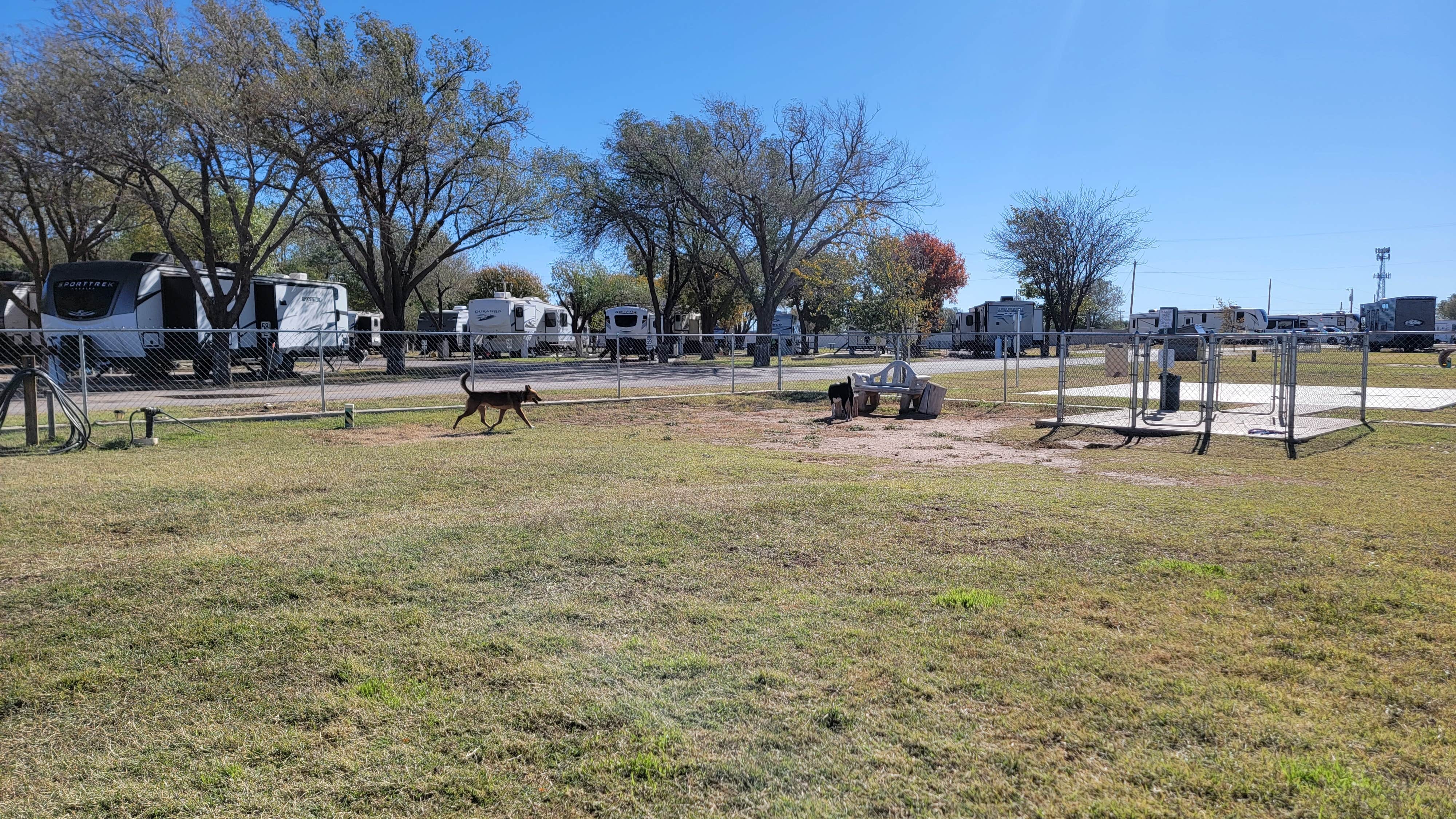 ron R.'s photo of camping with pets at Lubbock RV Park near Lubbock, TX