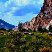 Review photo of Lucerne Campground - Ashley National Forest by Don R., September 7, 2026