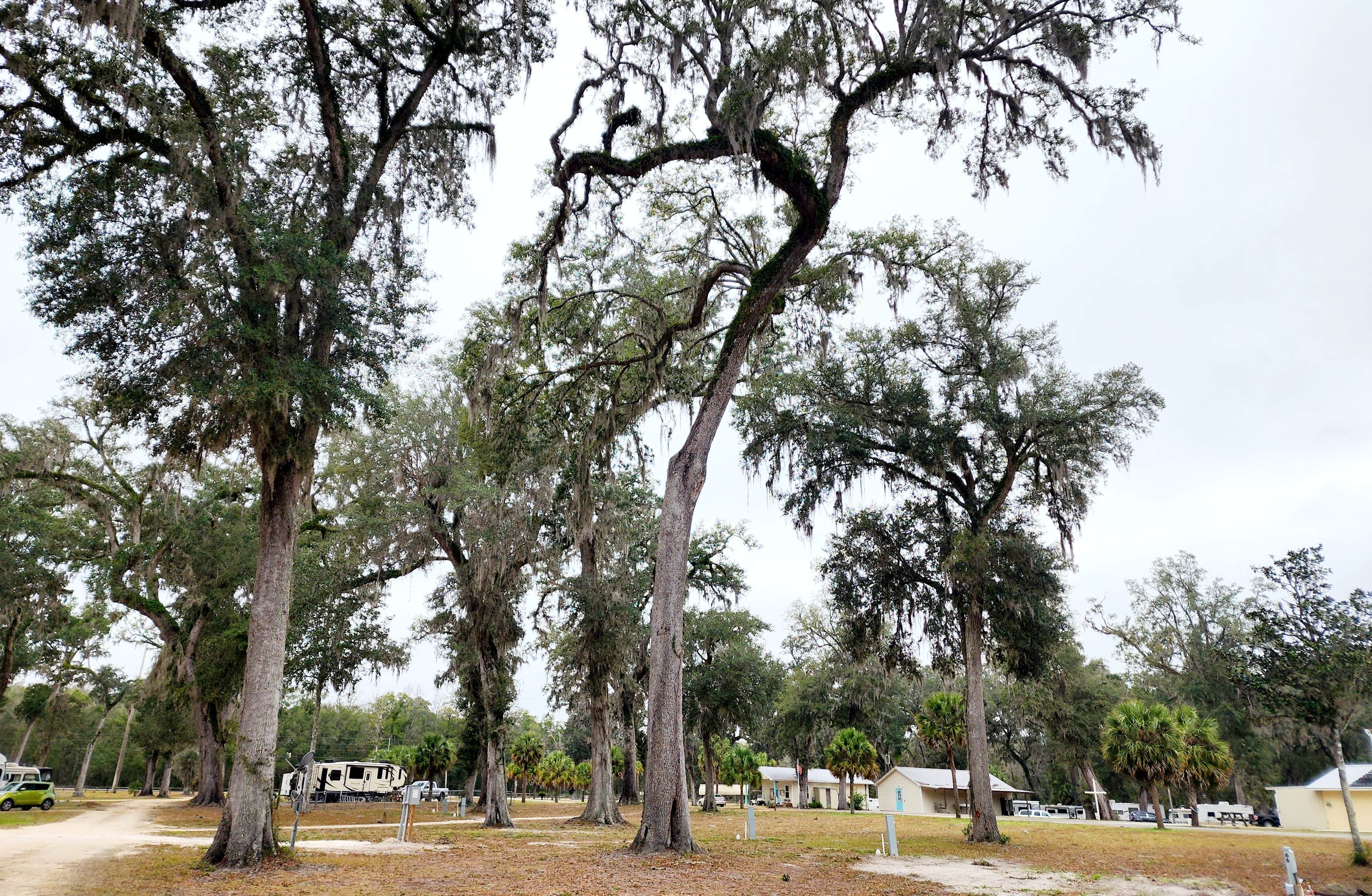 Camper-submitted photo at Lucky Charm RV Park near Trenton, FL