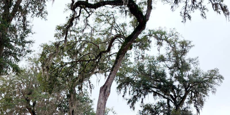 Camper submitted image from Lucky Charm RV Park