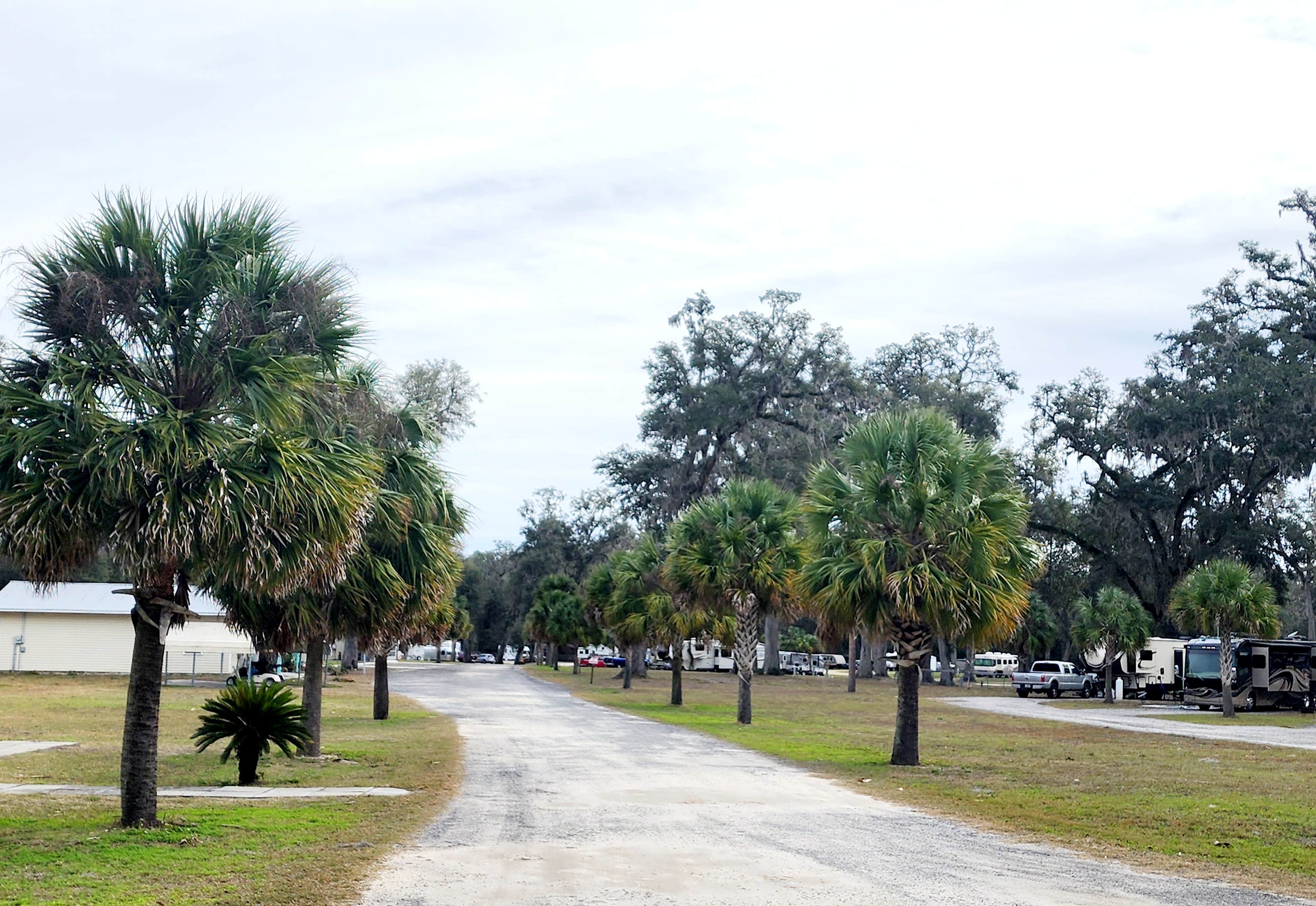 Camper-submitted photo at Lucky Charm RV Park near Trenton, FL