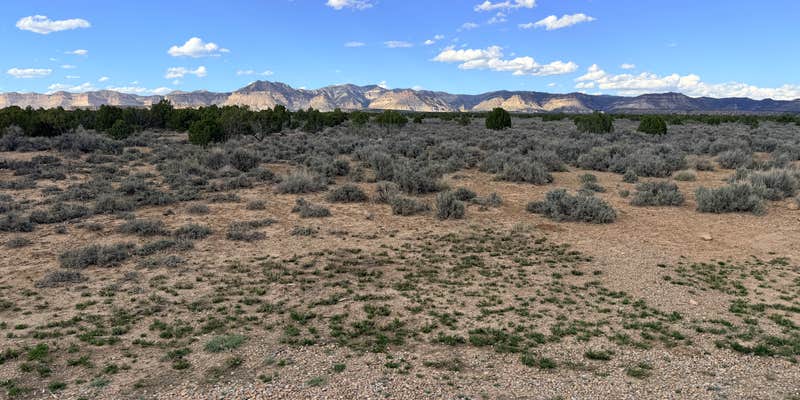 Camper submitted image from Luke's Trailhead