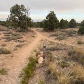 Review photo of Luke's Trailhead by Noel C., June 24, 2026