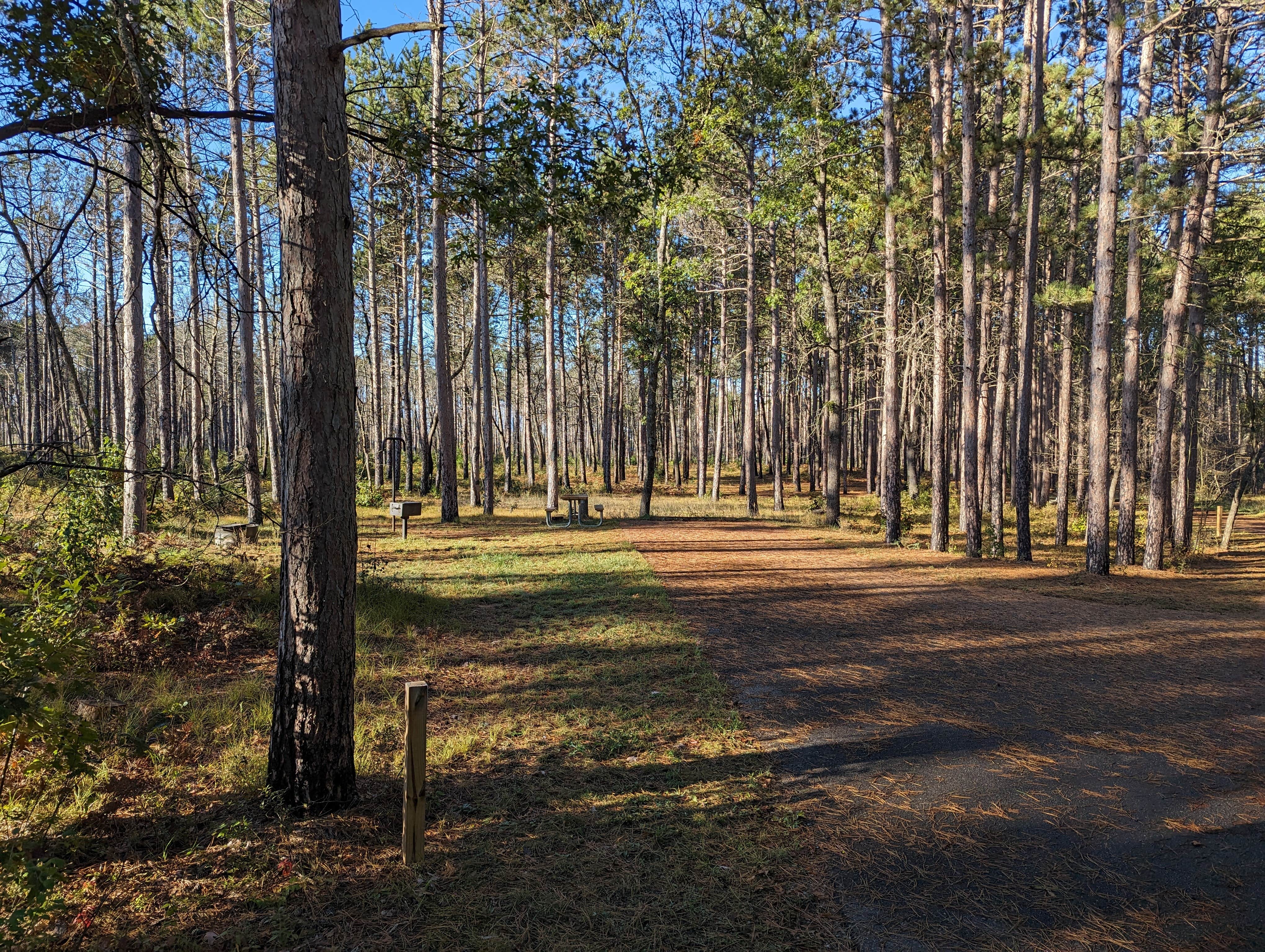 Camper-submitted photo at Lumberman&#x27;s Monument Visitor Center near Oscoda, MI