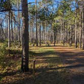 Review photo of Lumberman's Monument Visitor Center by Brad J., October 12, 2023