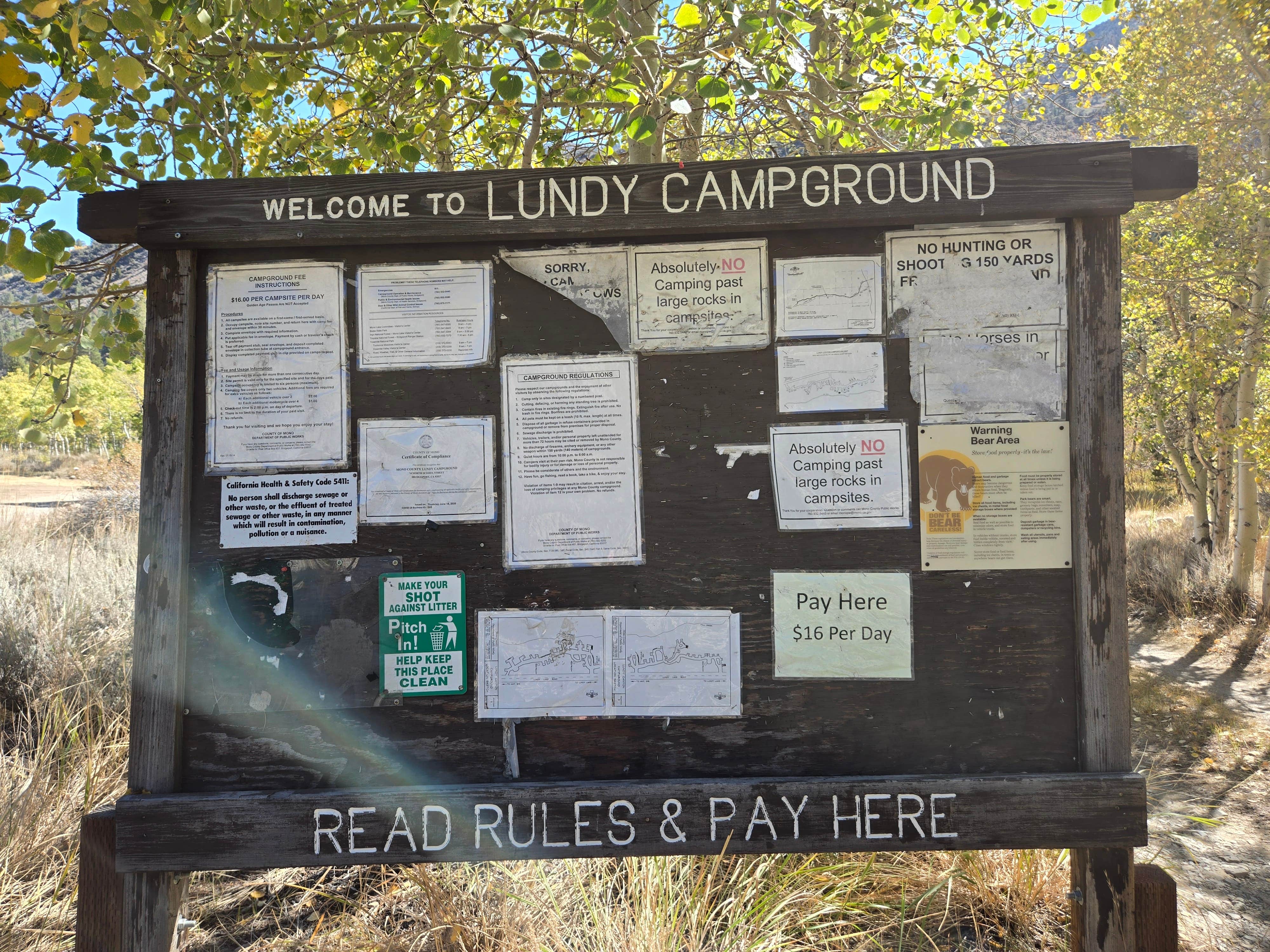 Camper submitted image from Lundy Canyon Campground - 5