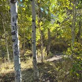 Review photo of Lundy Canyon Campground by Veronica O., October 18, 2024