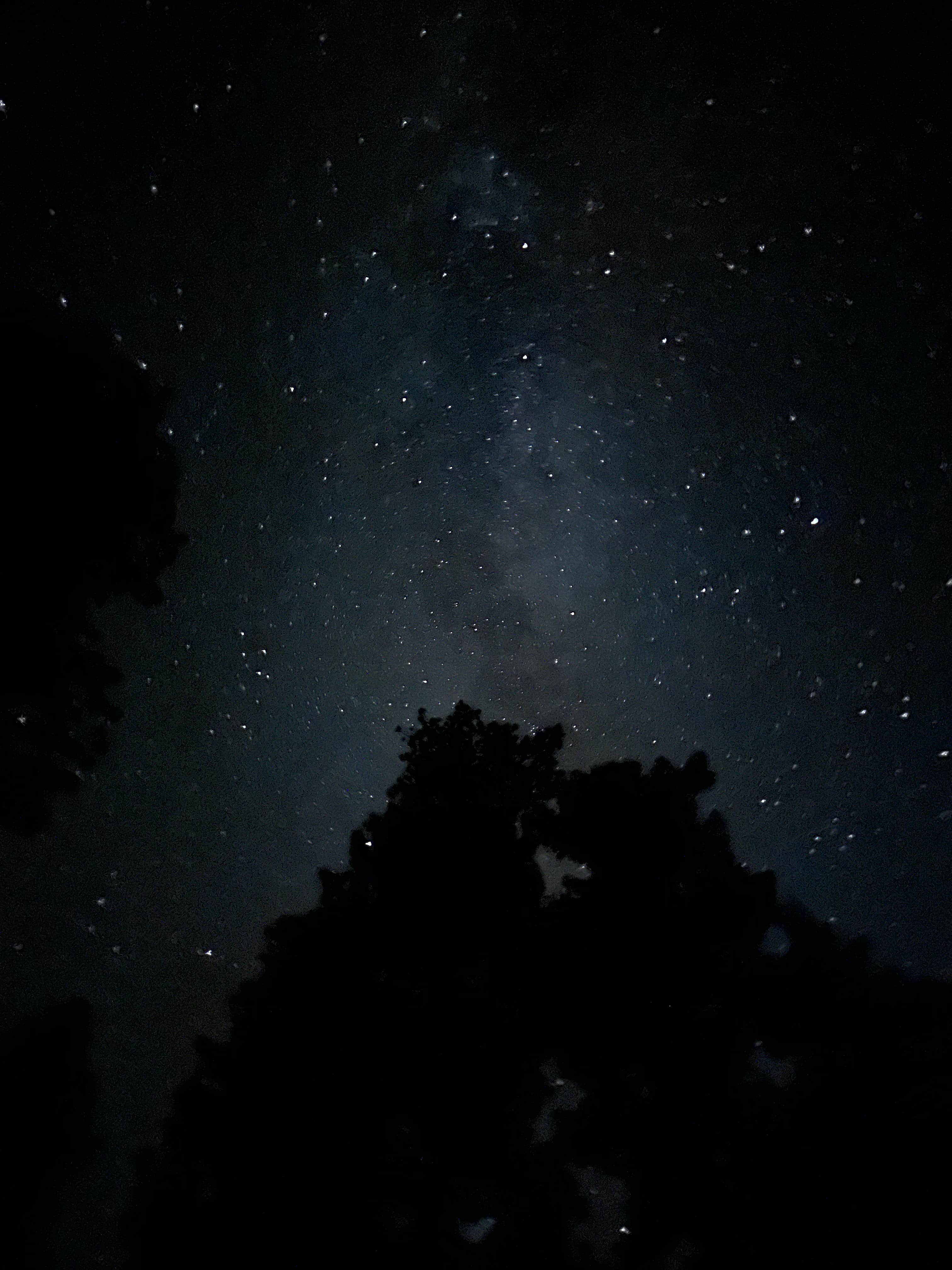 Camper submitted image from Luther Pass Dispersed Camping - 2