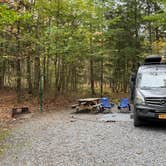 Review photo of Lyman Run State Park Campground by Dana M., September 30, 2025