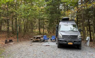 Dana M.'s photo of rv camping at Lyman Run State Park Campground near Coudersport, PA