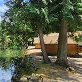 Review photo of Lynden/Bellingham KOA by Douglas S., June 23, 2026