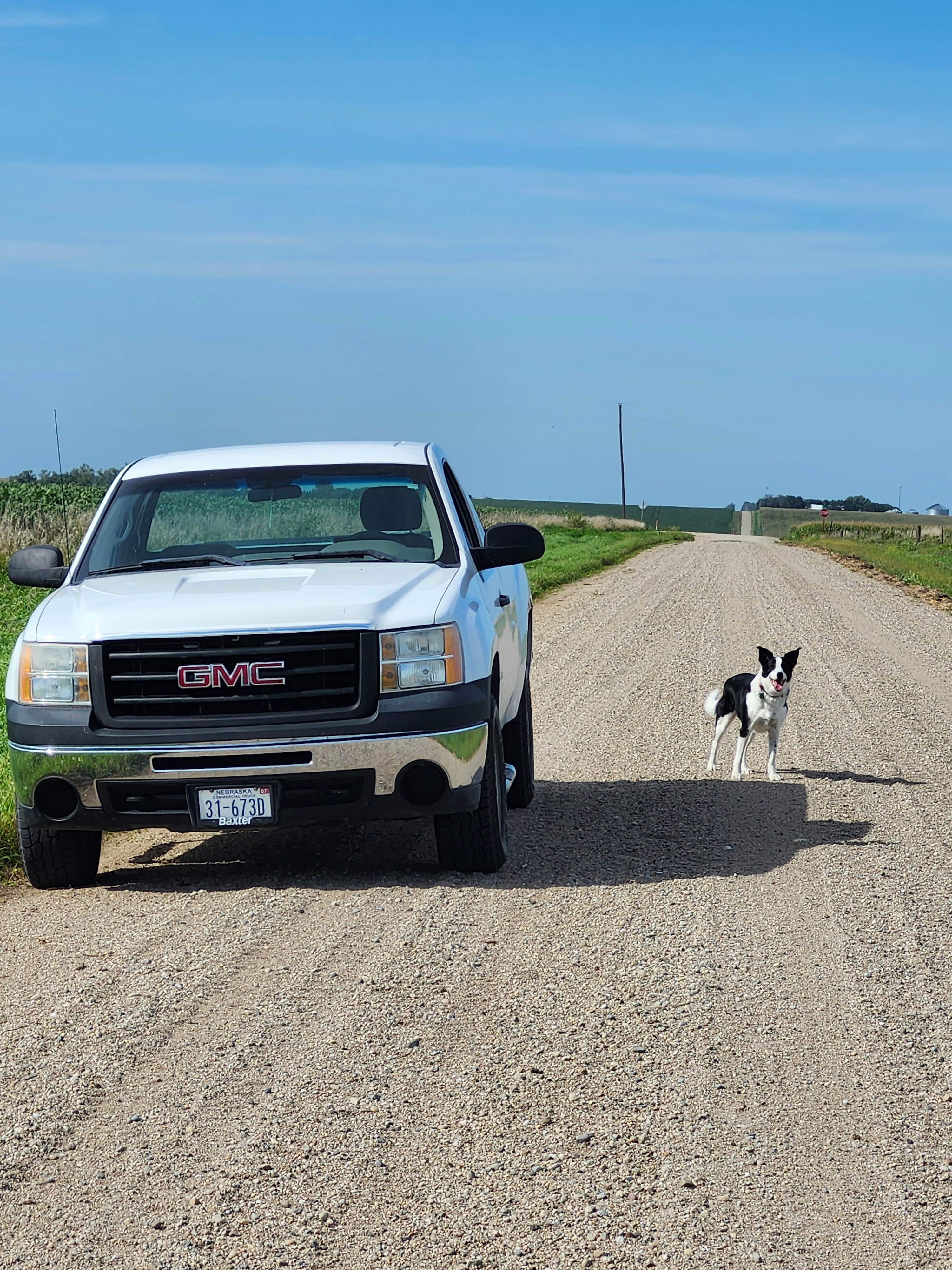 Boyd A.'s photo of camping with pets at Island Park Campground - Lyons City Park near Stanton, NE
