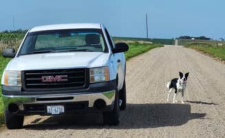 Boyd A.'s photo of camping with pets at Island Park Campground - Lyons City Park near Sioux City, IA