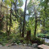 Review photo of Lyre River Campground by Bekah M., May 19, 2026