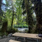 Review photo of Lyre River Campground by Bekah M., May 19, 2026