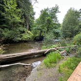 Review photo of Lyre River Campground by Susan C., September 19, 2025