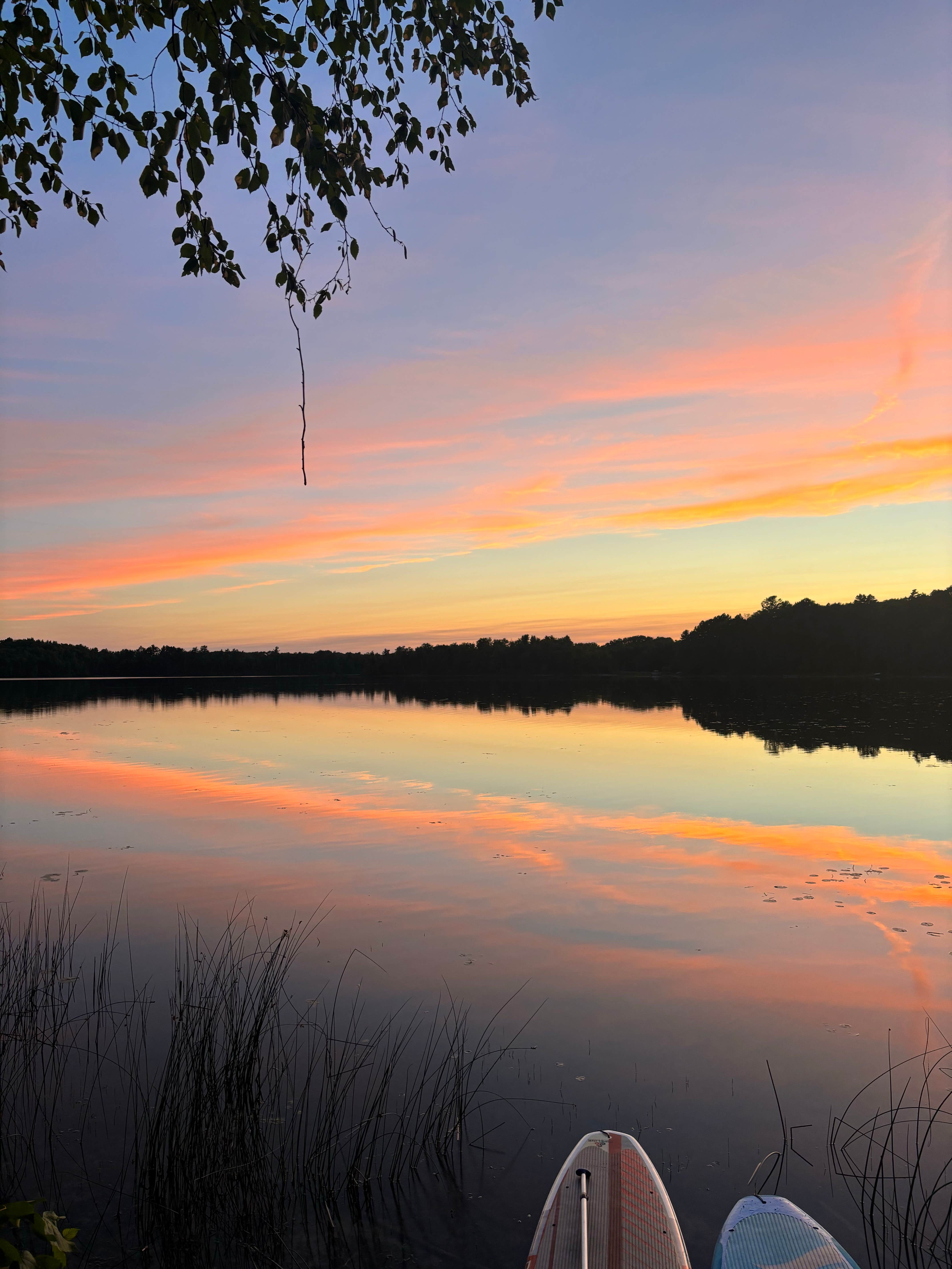 Camper-submitted photo at M44 Big Dick Lake near Deer River, MN