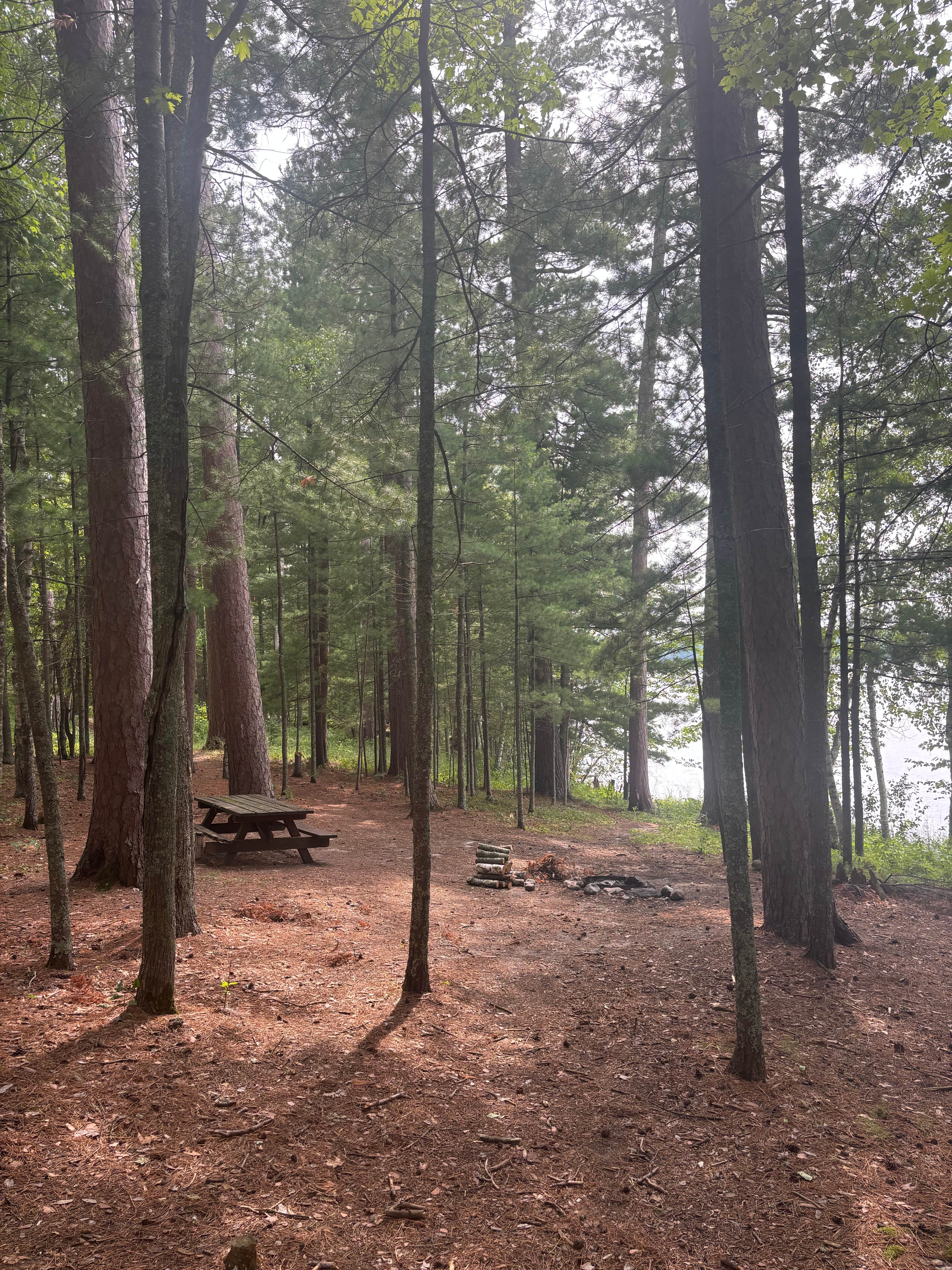 Camper-submitted photo at M44 Big Dick Lake near Deer River, MN