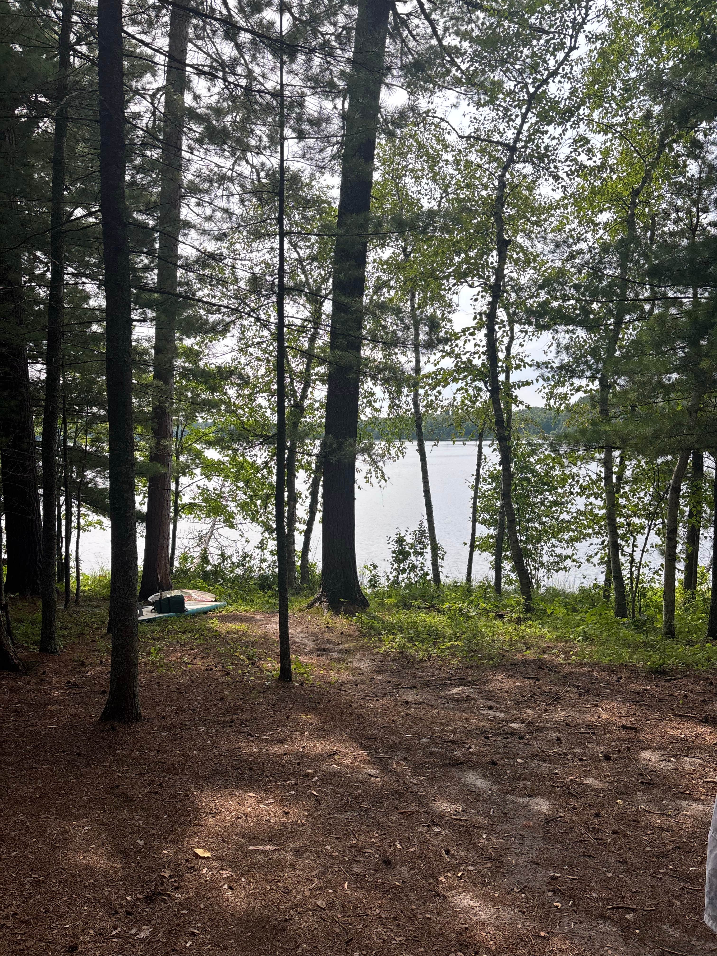 Camper-submitted photo at M44 Big Dick Lake near Deer River, MN