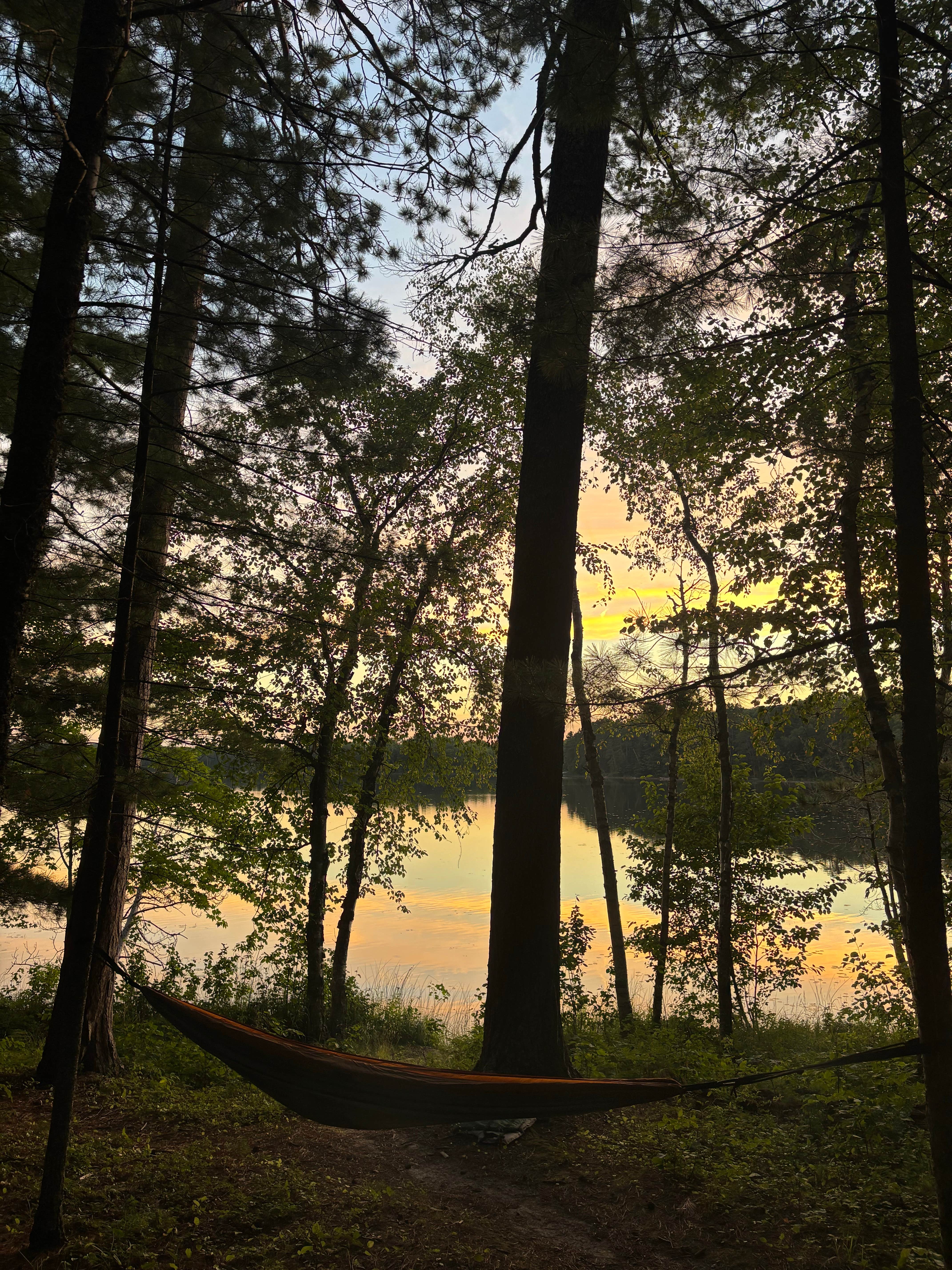 Camper-submitted photo at M44 Big Dick Lake near Deer River, MN