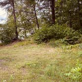 Review photo of Mabel Lake State Dispersed by Joni Z., July 16, 2025