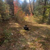 Review photo of Machias Rips Campsite by goose10091203 , October 15, 2025