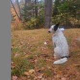 Review photo of Machias Rips Campsite by goose10091203 , October 15, 2025