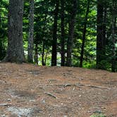 Review photo of Machias Rips Campsite by Crispin S., July 31, 2026