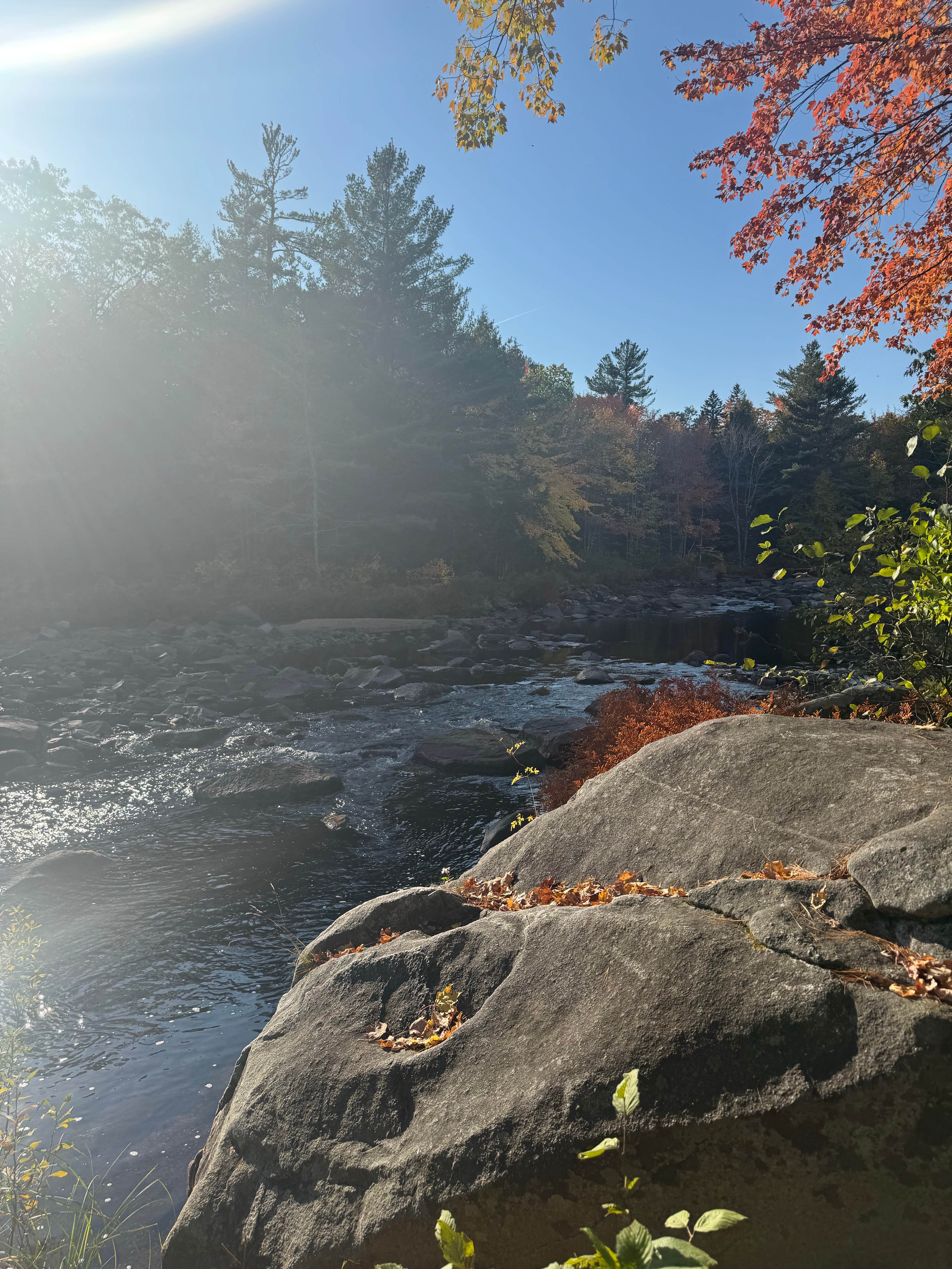 Camper submitted image from Machias River Camp off Route 9 - 1