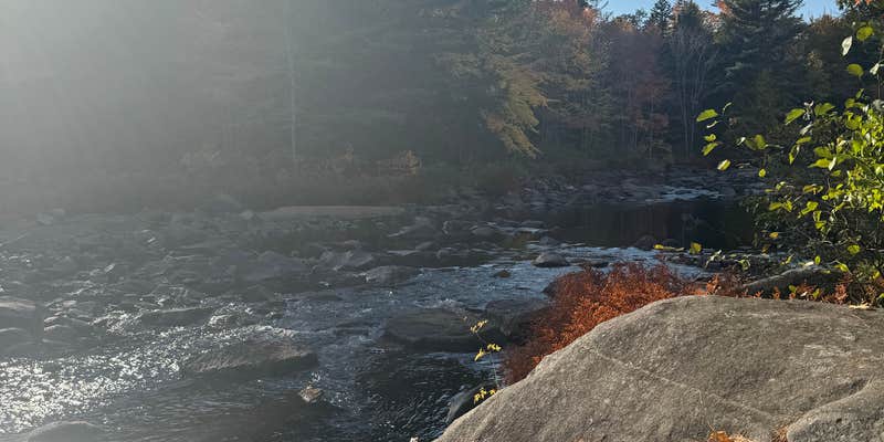 Camper submitted image from Machias River Camp off Route 9