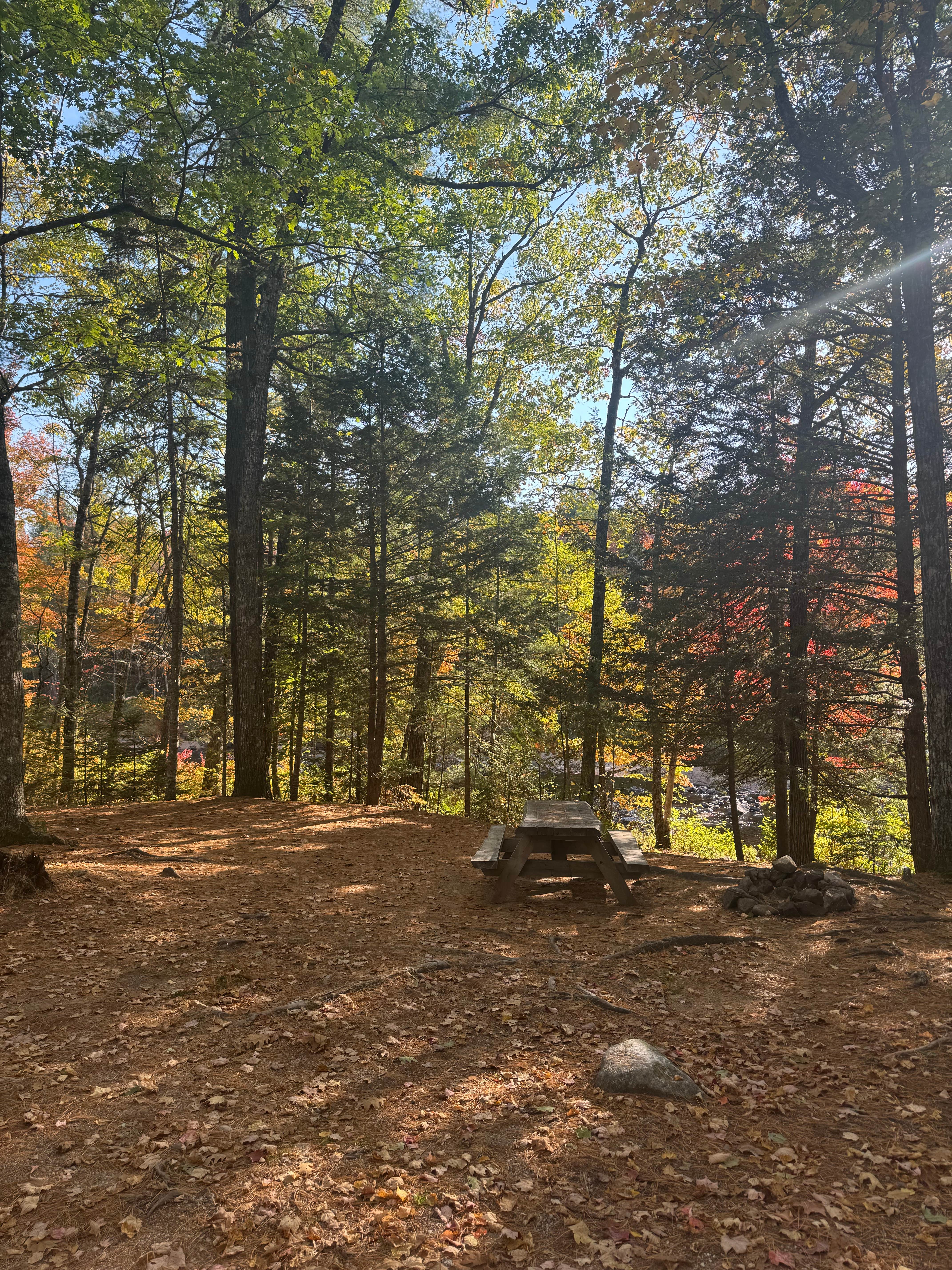 Camper-submitted photo at Machias River Camp off Route 9 near Aurora, ME
