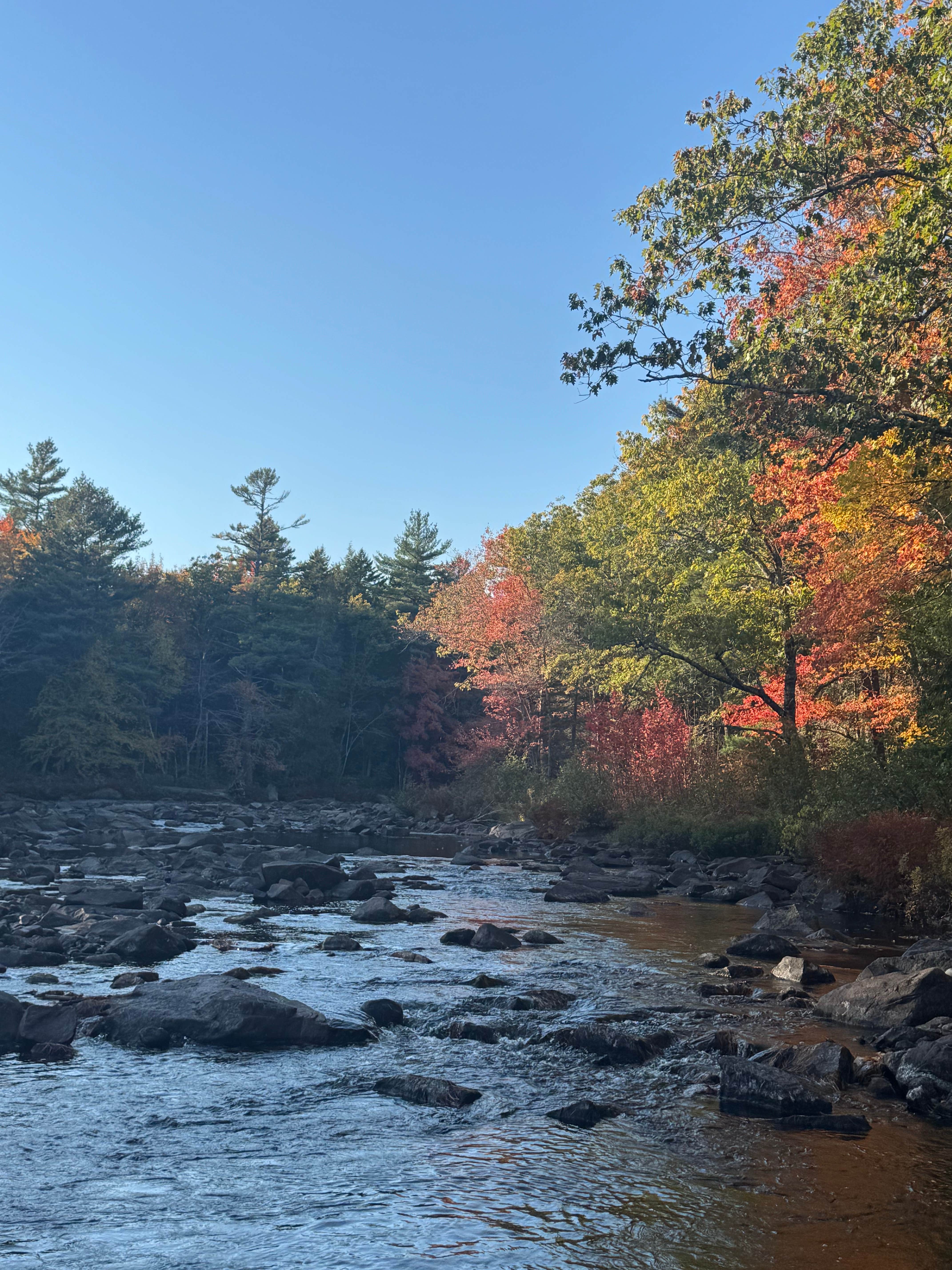 Camper-submitted photo at Machias River Camp off Route 9 near Aurora, ME