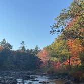 Review photo of Machias River Camp off Route 9 by Tim M., October 5, 2025