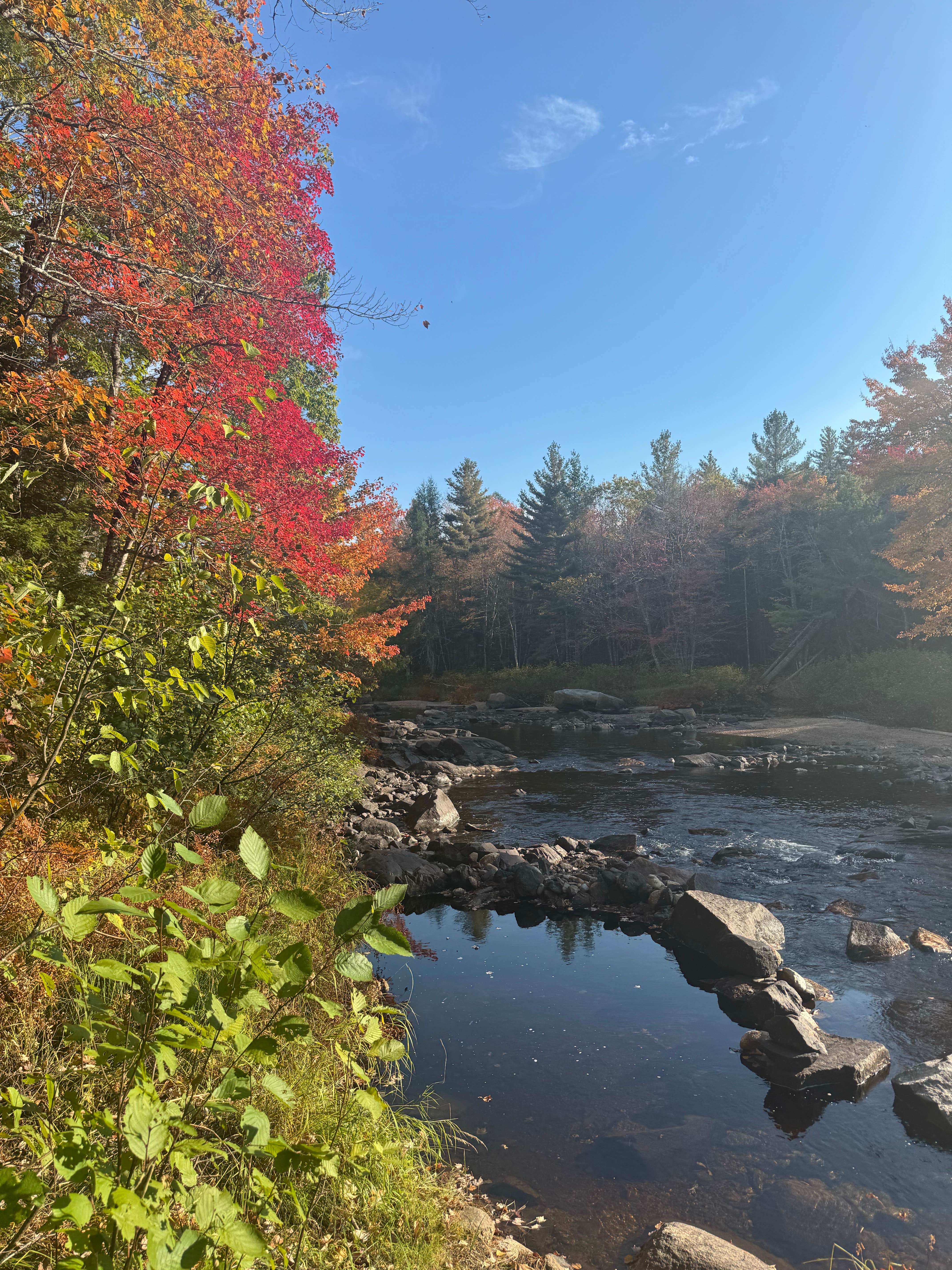 Camper submitted image from Machias River Camp off Route 9 - 2